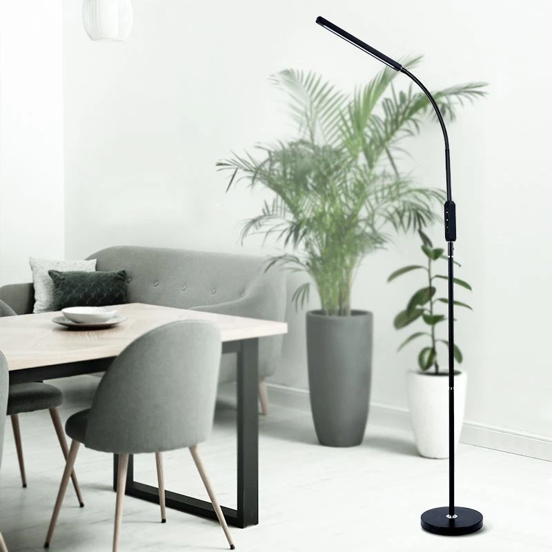 LED Floor Lamp
