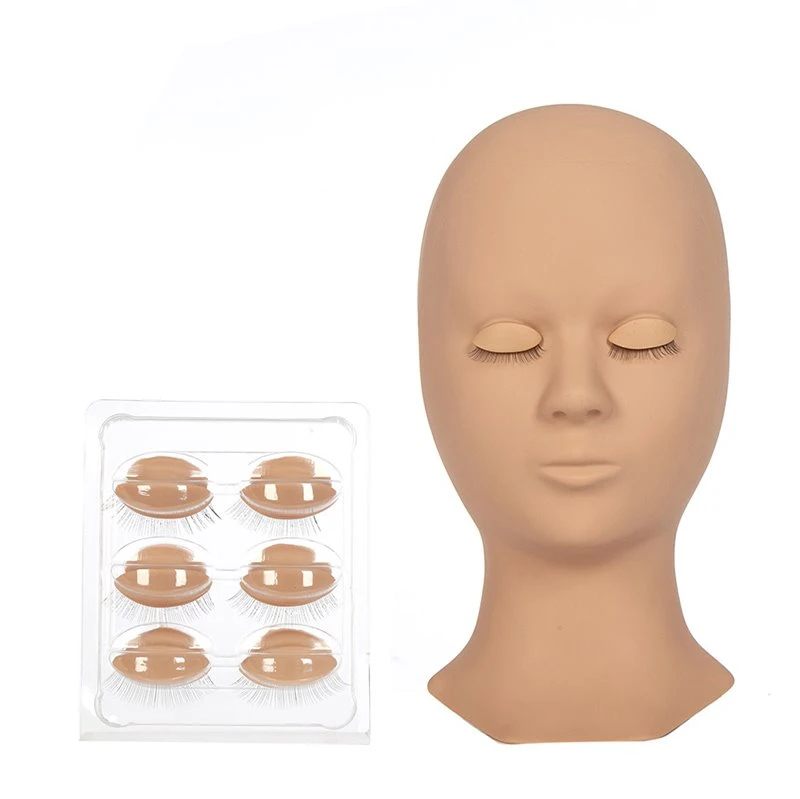 Human head mold practice